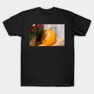 pumpkin on the bench T-Shirt